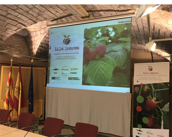 Presentación de los resultados del proyecto - nota de prensa