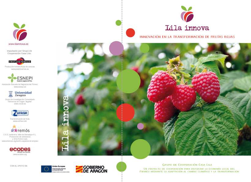 Descarga el folleto del proyecto